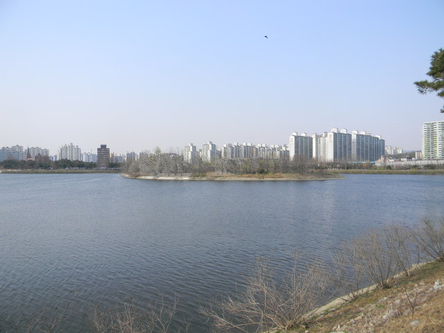 서호개발 이미지