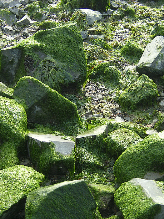 청해원(주) 이미지