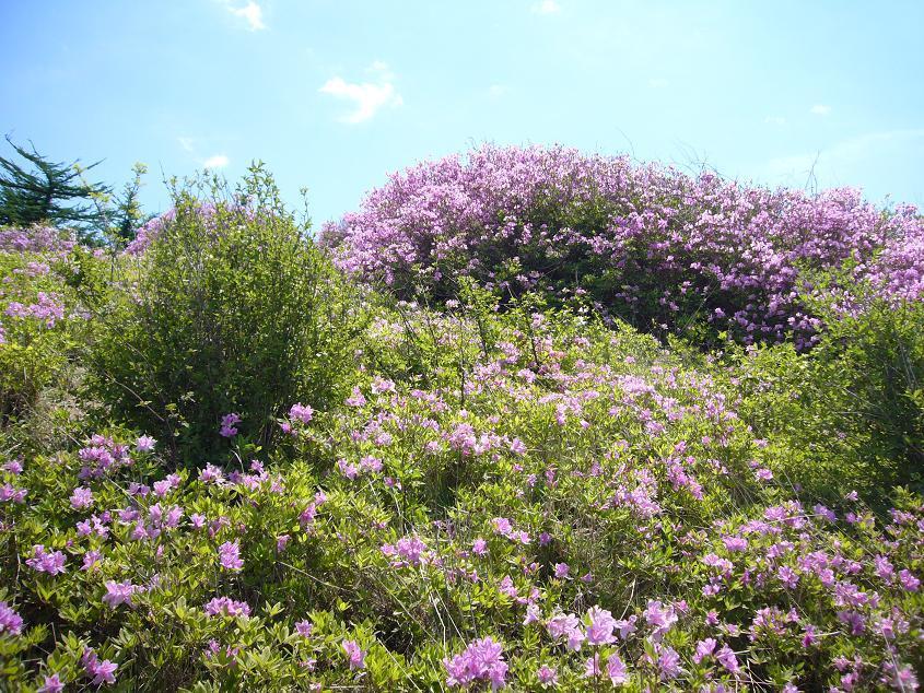 2007년 지리산 대종주