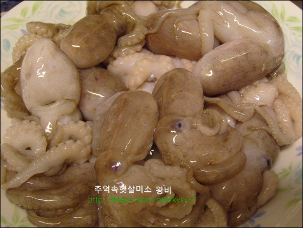 쭈꾸미 볶음
