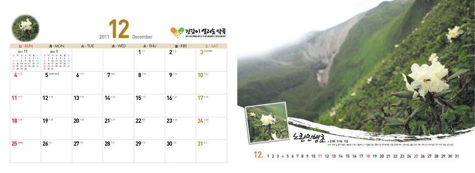 야생화달력탁상용2012년-백두산속야생화