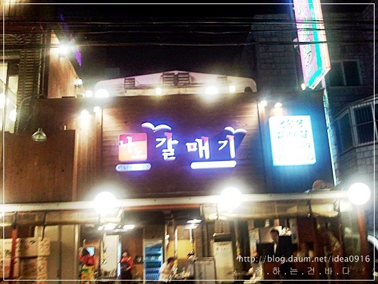 나노갈매기 이미지