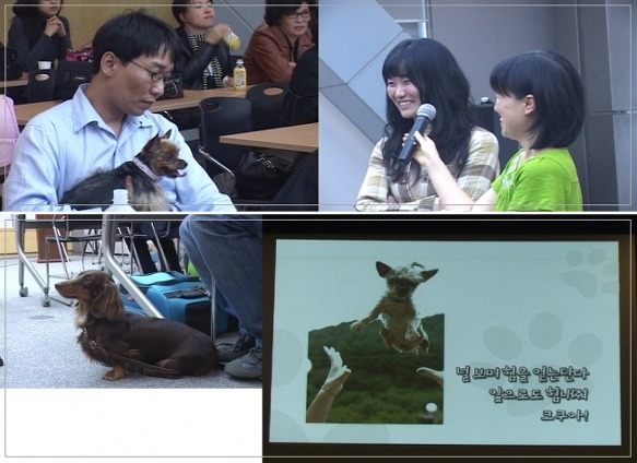 유기동물 입양 이야기를 들려주세요..
