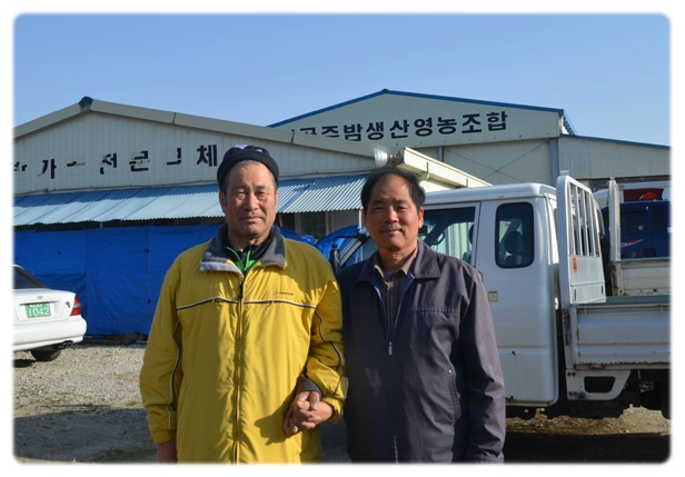 신공주밤생산영농조합 이미지