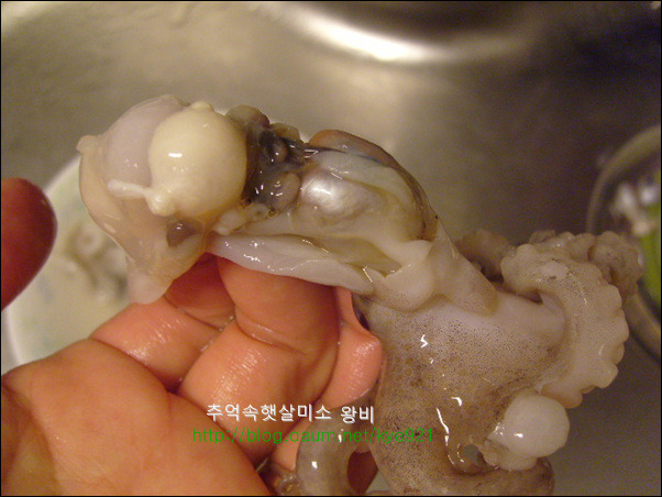 쭈꾸미 볶음