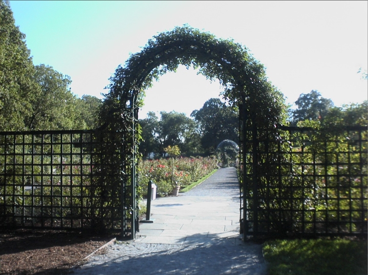 Botanical garden, Bronx, NY