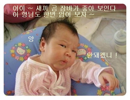 쿠마 이미지