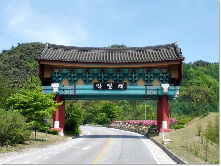 금봉노래 이미지