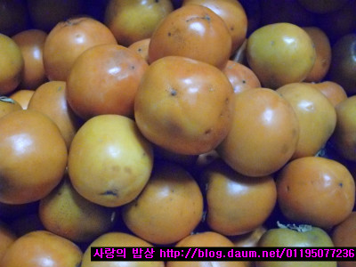 시험에 지친 학생위해 만든! 초대박 13가지 밑반찬>_<