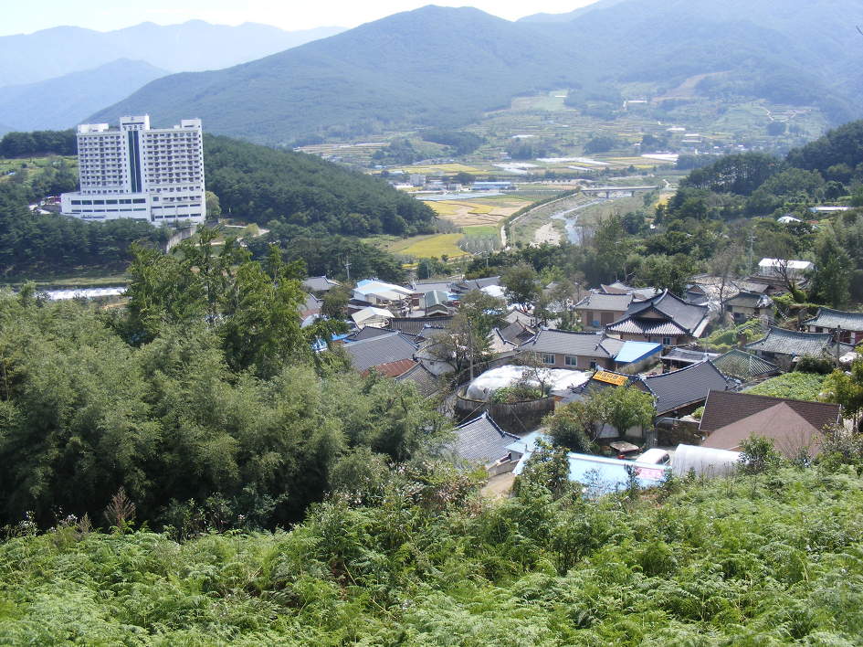 이미지