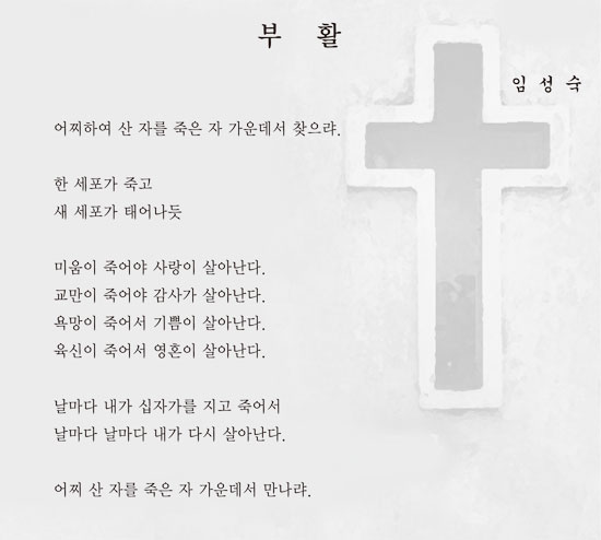 임*성 이미지