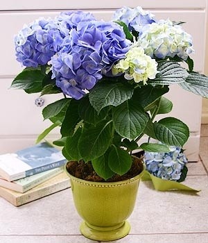 책을 읽기 위한 시간을 내는 법