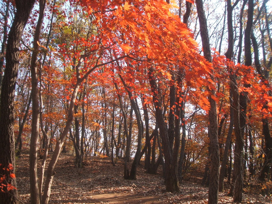 나미의 슬픈 인연을 기쁜인연으로 개사해서 들으면 