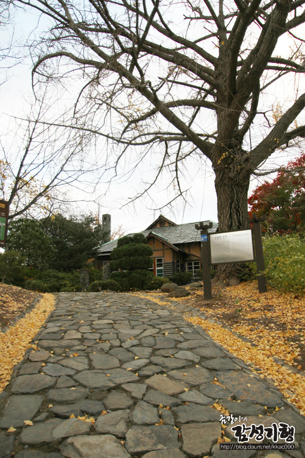 군산 발산리 오층석탑과 이영춘가옥