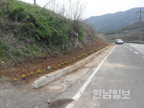 변약초 이미지