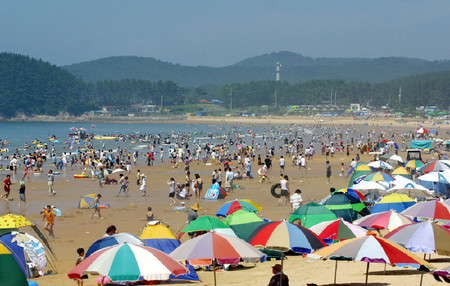 오늘 이미지