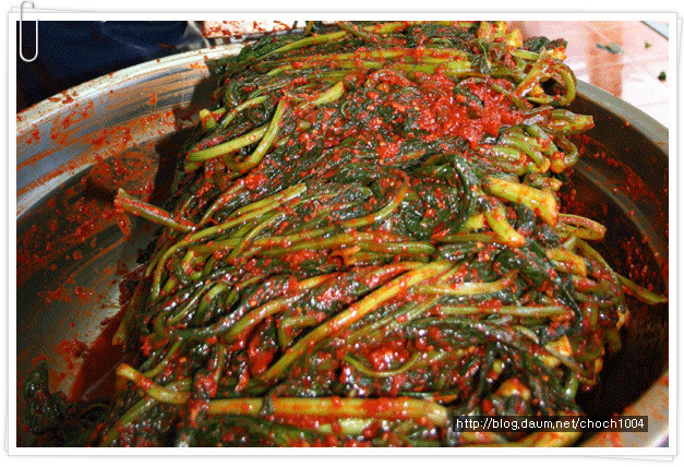[판매] 진짜 맛있어요! 돌산갓김치