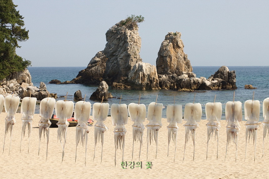 건어물-동해안