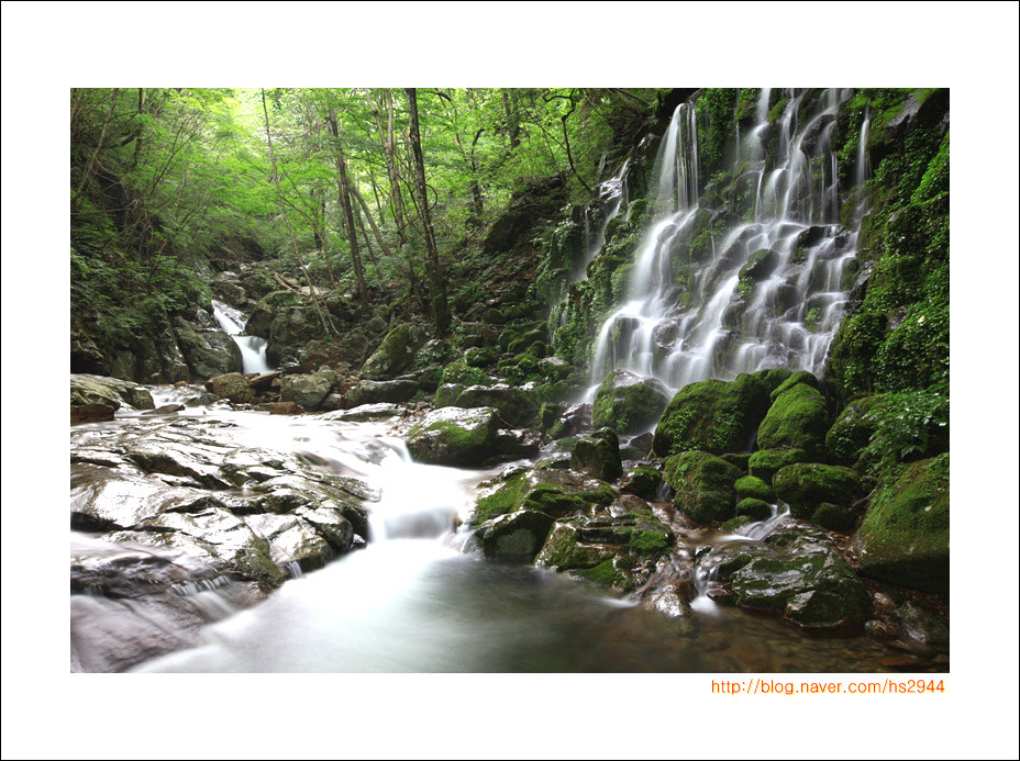 이끼폭포..(실비단).. 2013.08.25