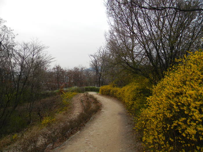 초안산 창1동, 창3동 구역 (박묵선의 밀양박씨 묘역)