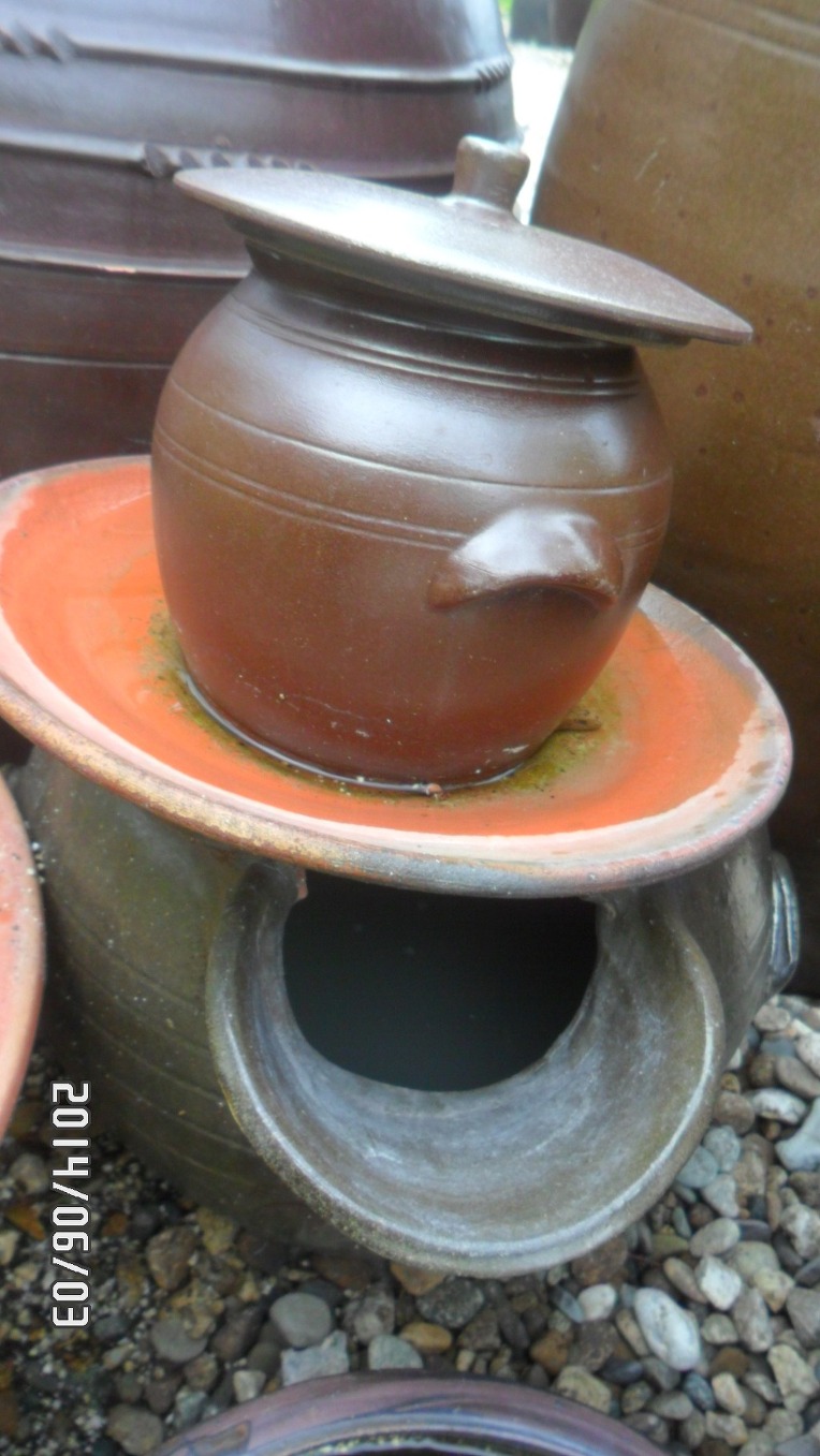 비오는날!!수목원의추억^^