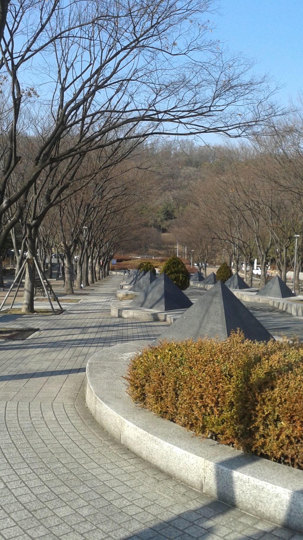 수선화 사러 가는길~