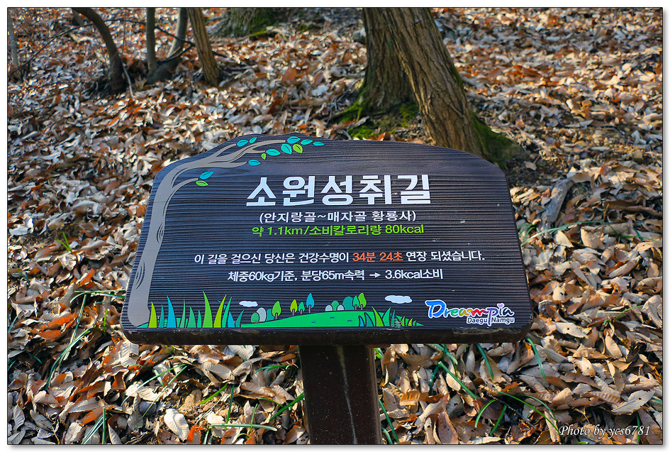 앞산 자락길 