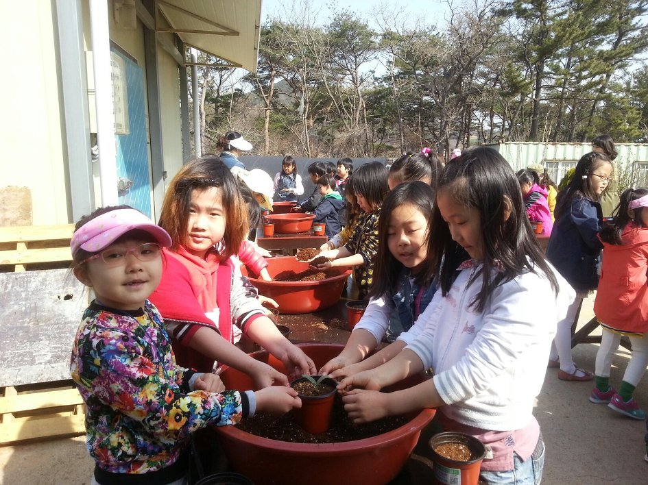 대산초등학교 이미지