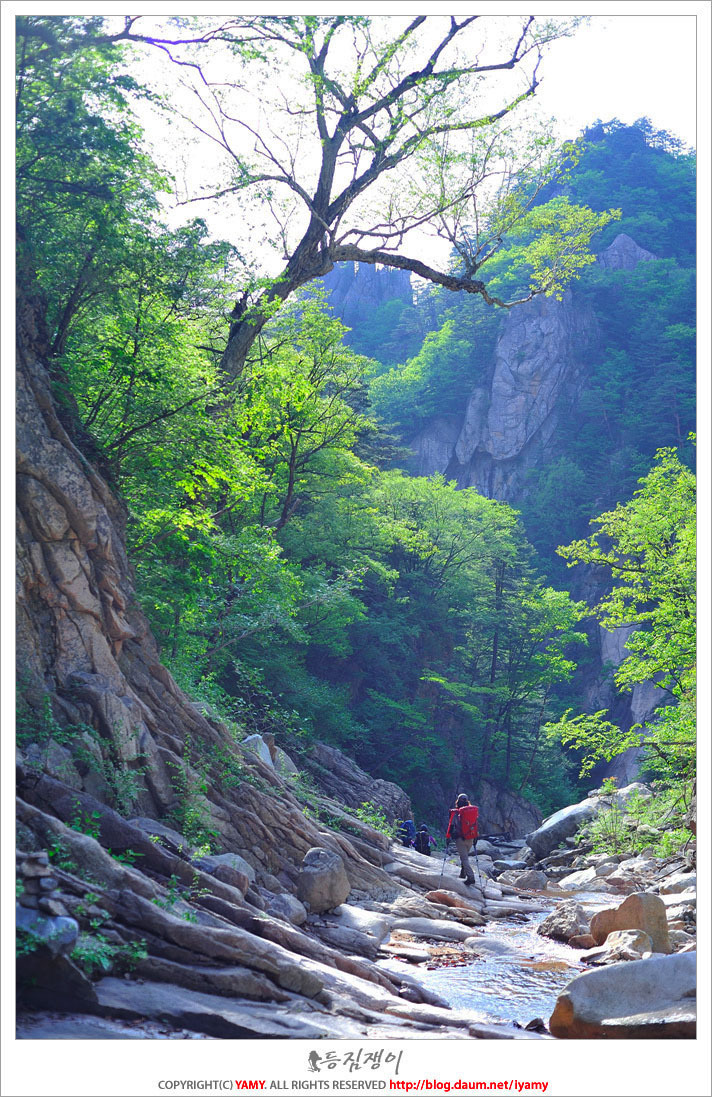 설악산슈퍼 이미지