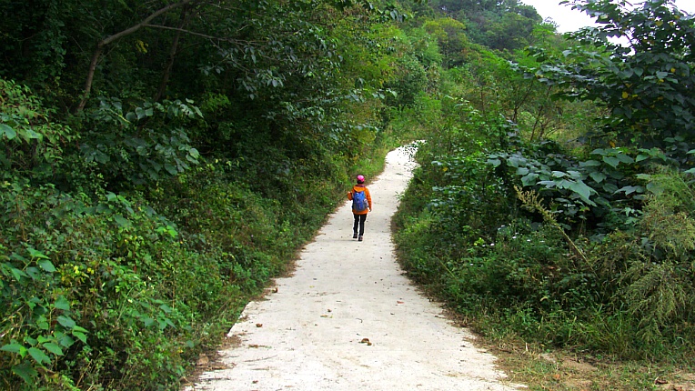 2252EA36542BECEC0F3CDC