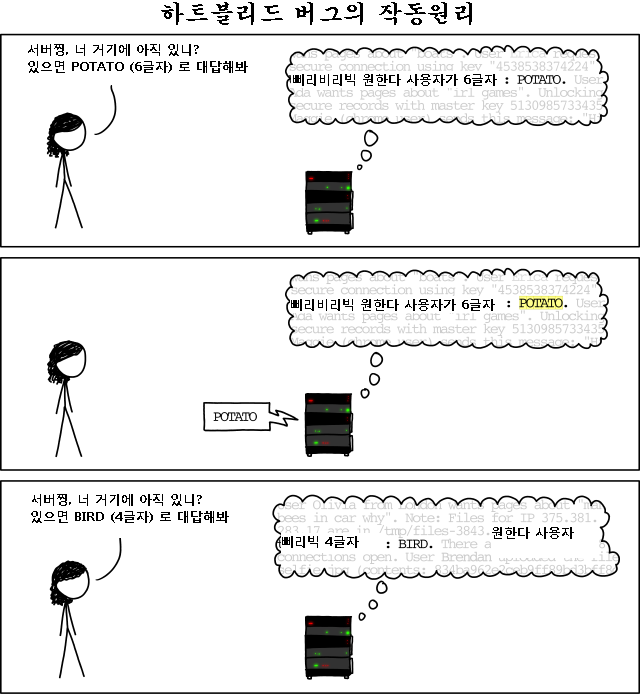 보안문제 - 하트블리드 (Heartbleed Bug) 버그의 작동원리