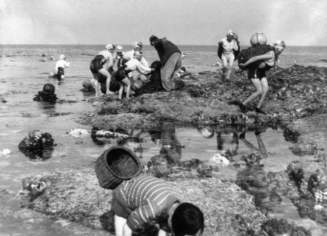 보름달 과 잠녀 추억