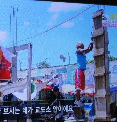 팔마 이미지