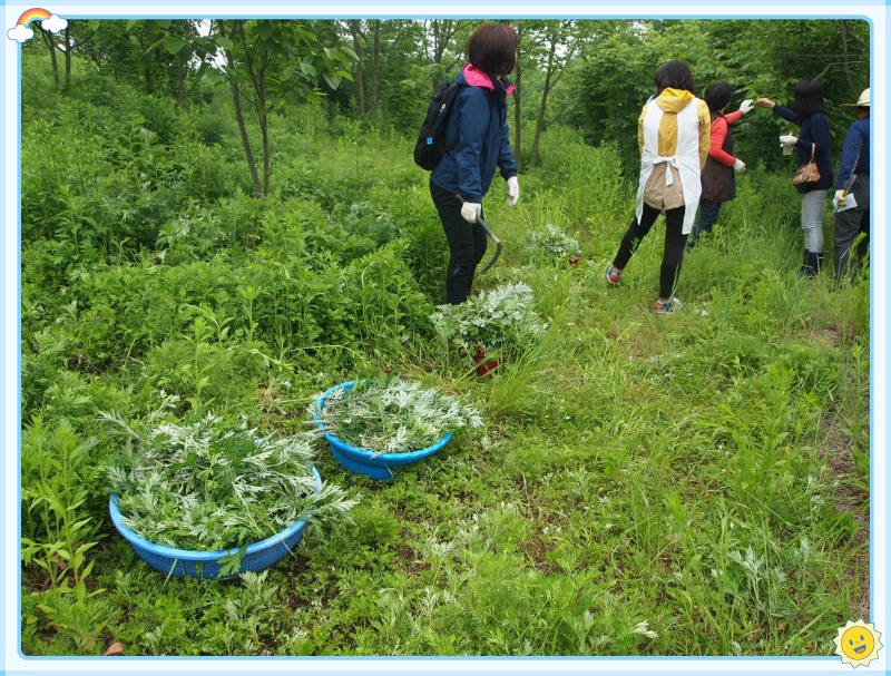 산들약초 이미지
