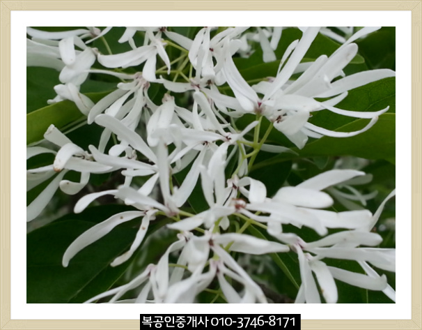 &겸손,현명하게사는법,좋은글중에서~