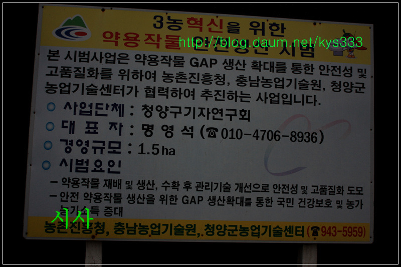 청양 구기자 시험장