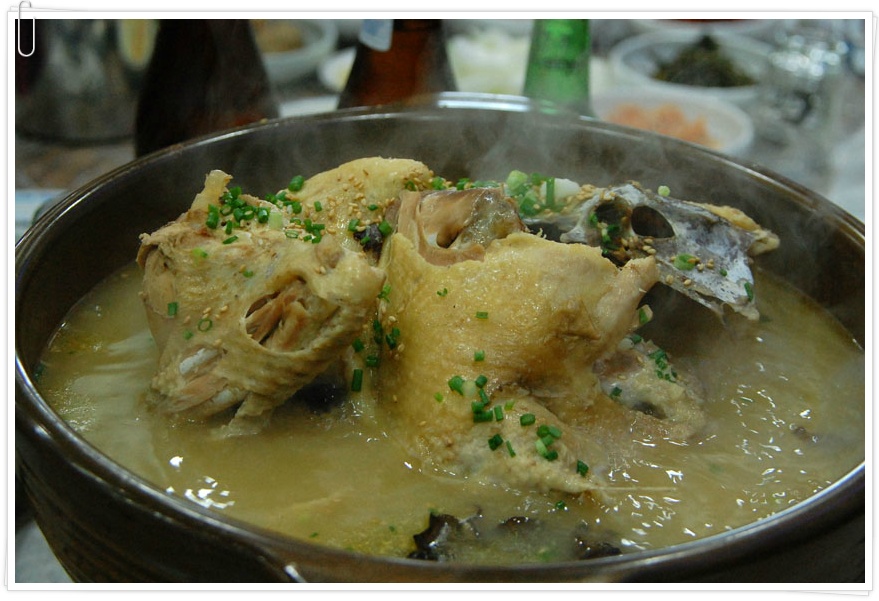 [창원의창동읍맛집] 해훈가든의 용봉백숙 - 주남저수지에서 직접 잡은 잉어와 토종닭의 만남