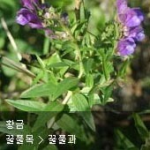 꽃이름 찾기
