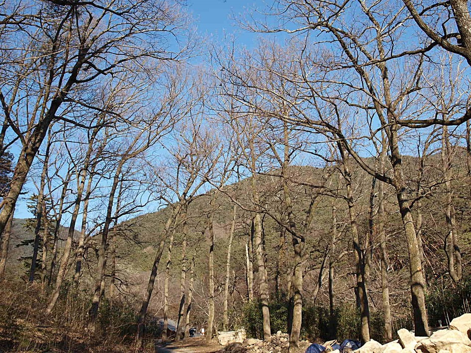 지리산 천은사
