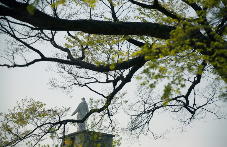 더블클릭을 하시면 이미지를 수정할 수 있습니다