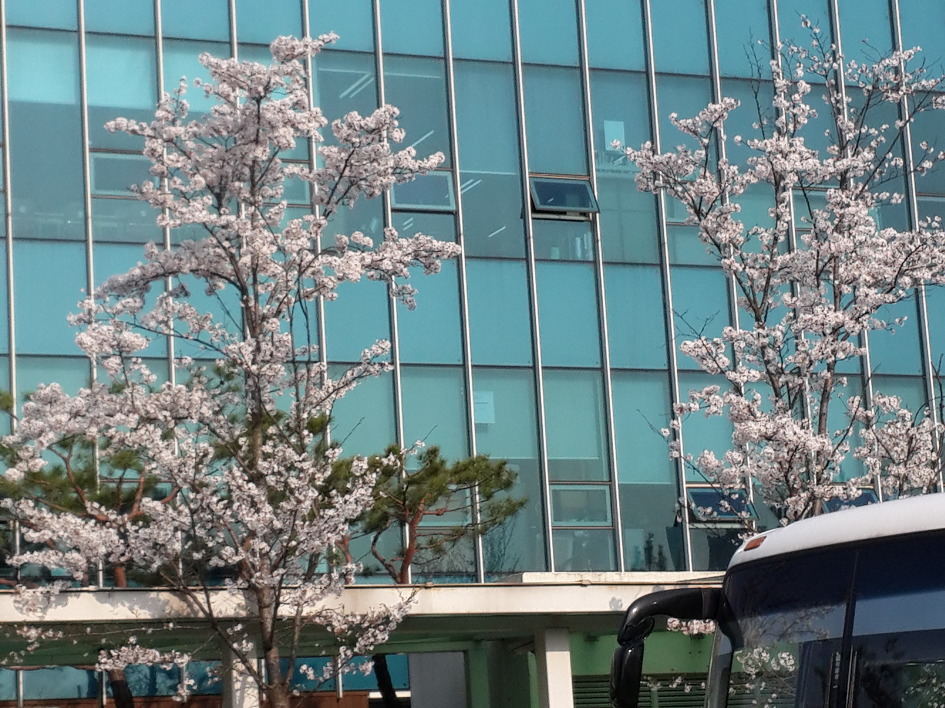 꽃 그리고 복