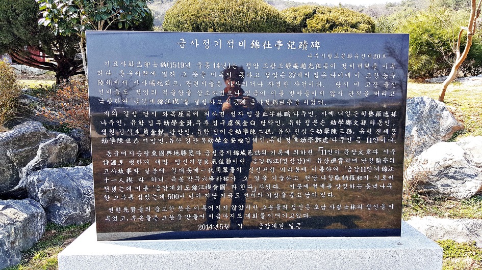 (나주여행)천연기념물 나주 금사정 동백나무. 언제 꽃을 피울까?