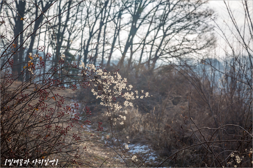 2016.12.31 인천 삼형제섬길(신도, 시도, 모도)을 걷다