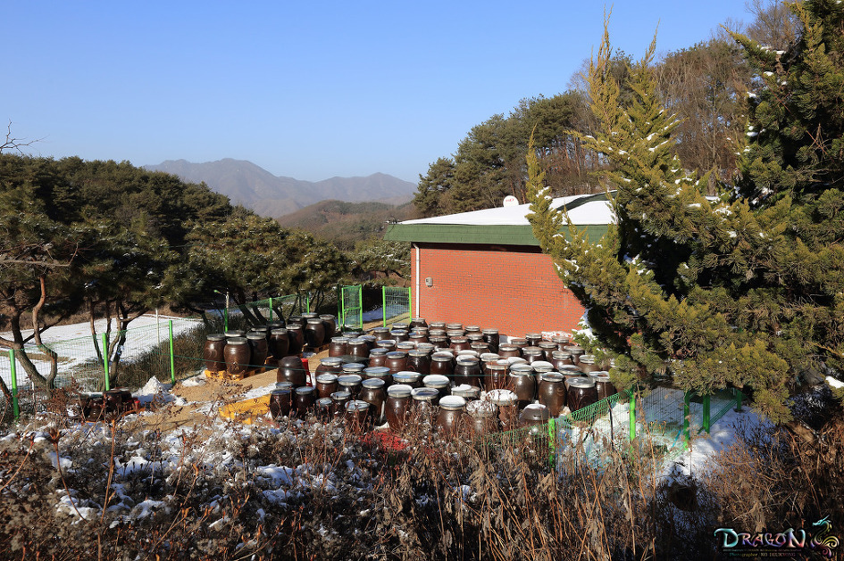 강원도 횡성군 갑천면 구방리 시골집 풍경과 장독대