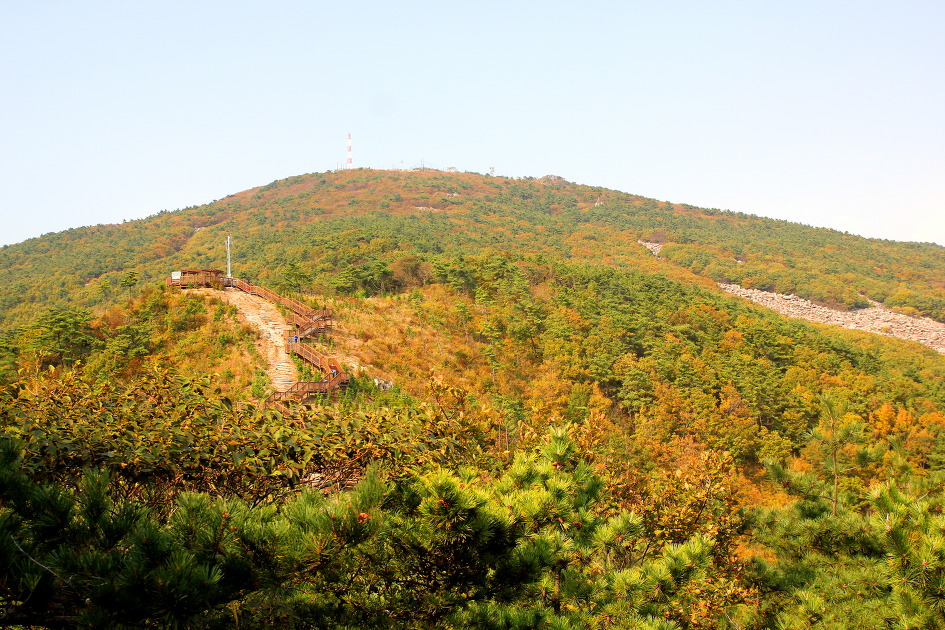 장산 이미지