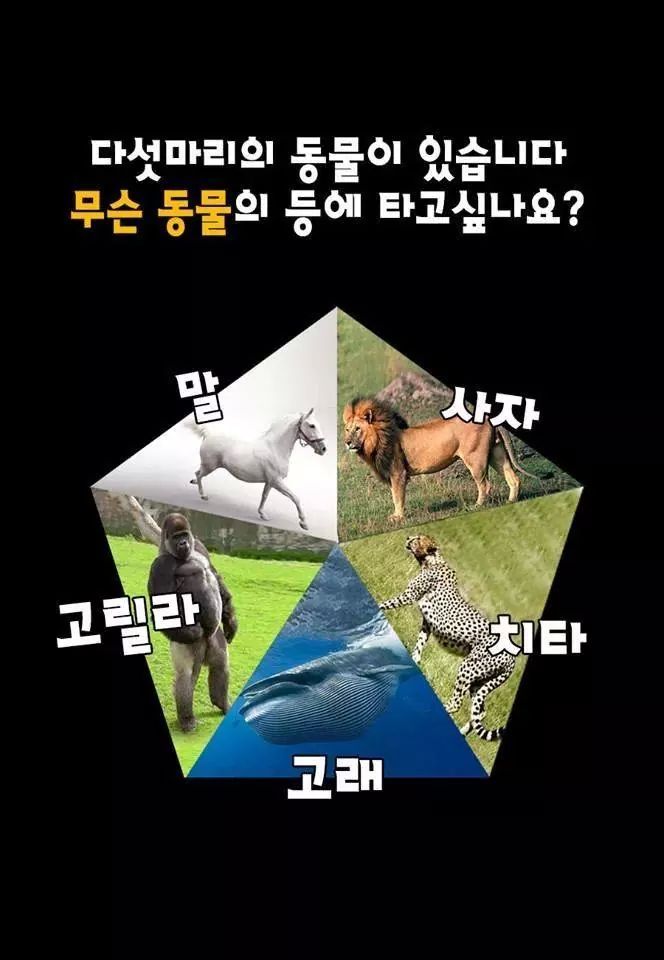 재미있고 간단한 성욕구 성관계 심리테스트