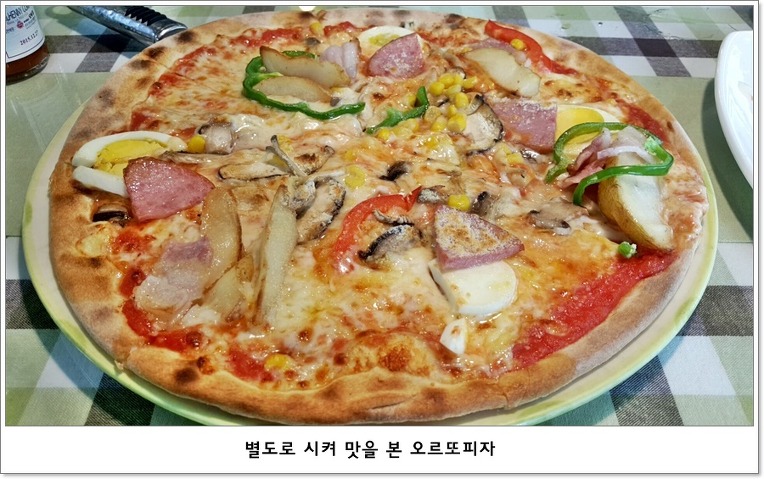 오르또 이미지