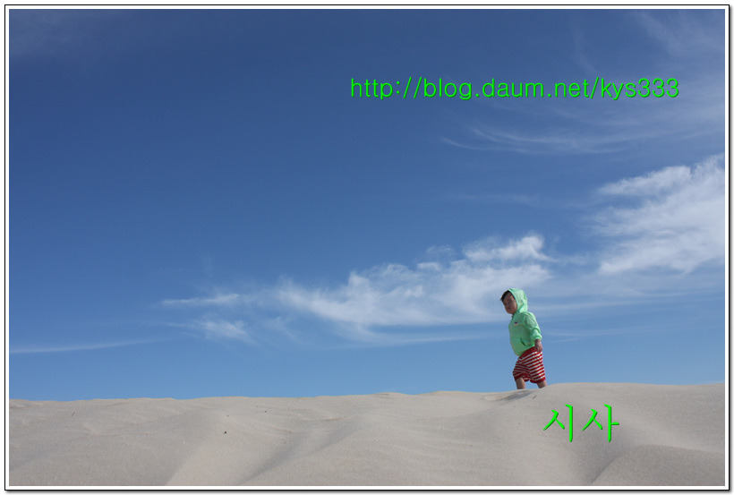 증도 바닷가 해변 바람의 흔적...2015년 6월