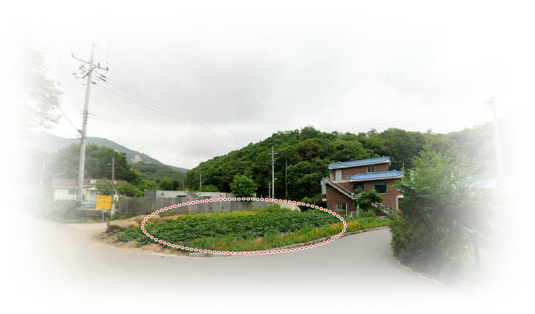풍년전 이미지