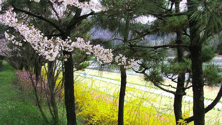 274A0349570221AB3EC7FD